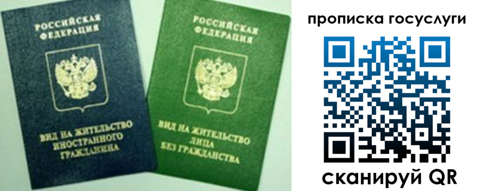 временная регистрация недорого в Новом Осколе
